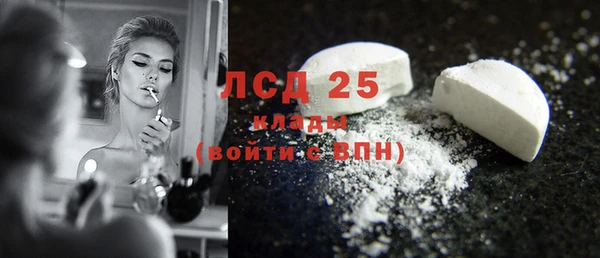 индика Беломорск