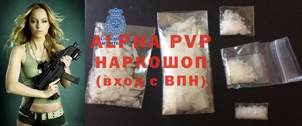 индика Беломорск