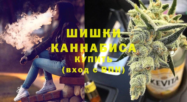 индика Беломорск