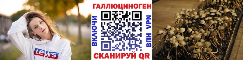 Псилоцибиновые грибы GOLDEN TEACHER  Ершов 